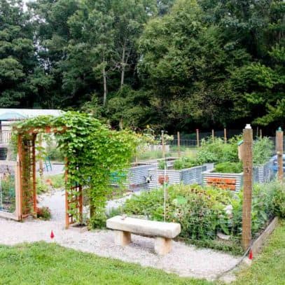 How To Start A Garden Growfully How To Start A Garden Growfully, Plan Your Garden