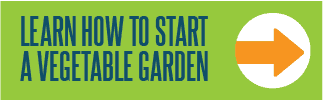 Blue text on a green box reads "Learn how to start a vegetable garden." An orange arrow points to the right