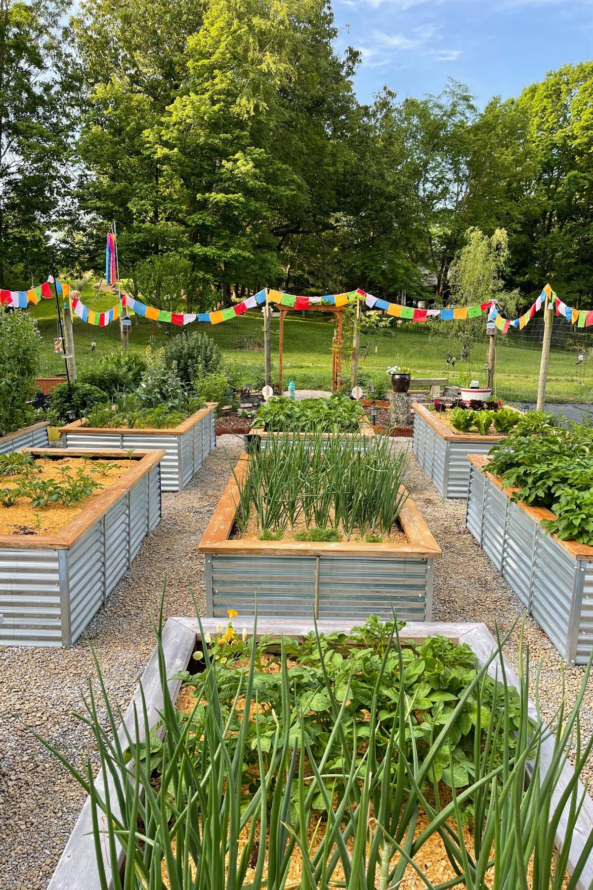 Vegetable garden with modern metal raised beds