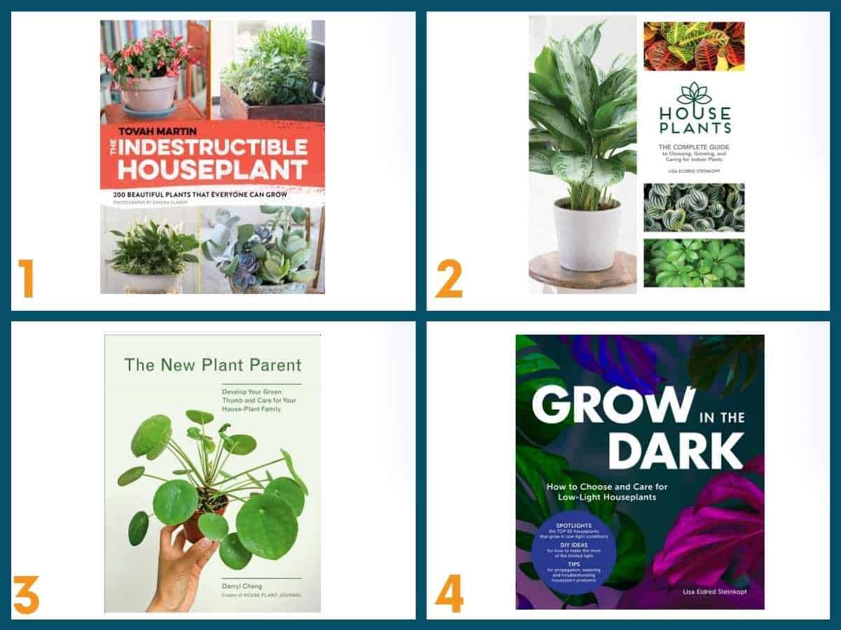 7 Best Indoor Gardening Books for New Plant Parents - Growfully