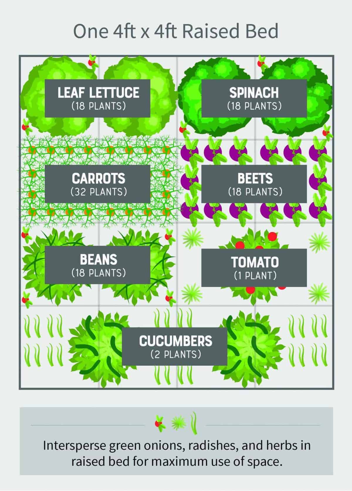 4x8 garden planner