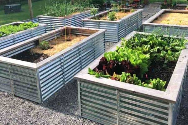 Galvanized steel garden beds