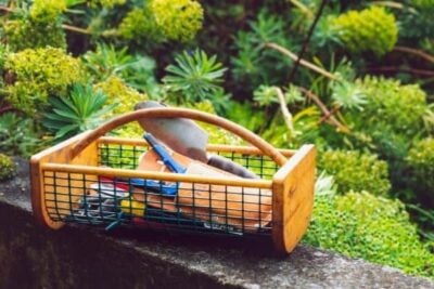 A wood and wire garden hod holds hand tools