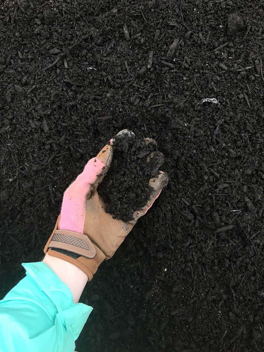 A gloved hand holds a handful of garden compost.