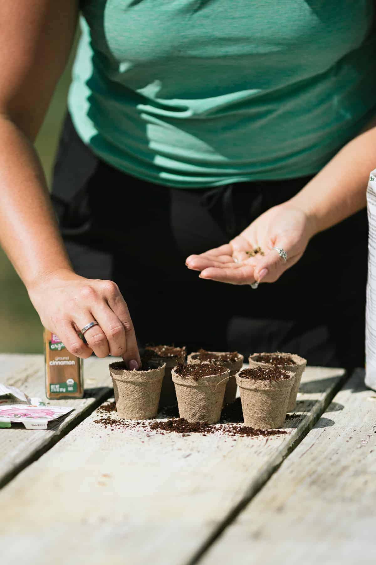 How To Start Planting Seeds - Hobby Granding