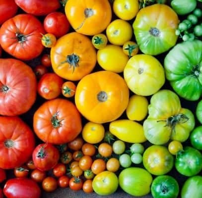 Heirloom tomatoes arrayed in rainbow order