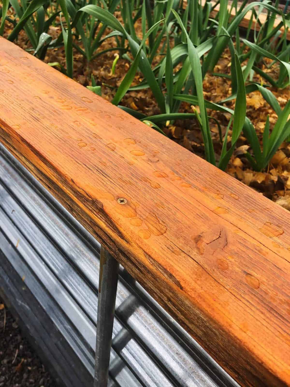 Tight view of a raised garden bed with a screw in a cedar board.