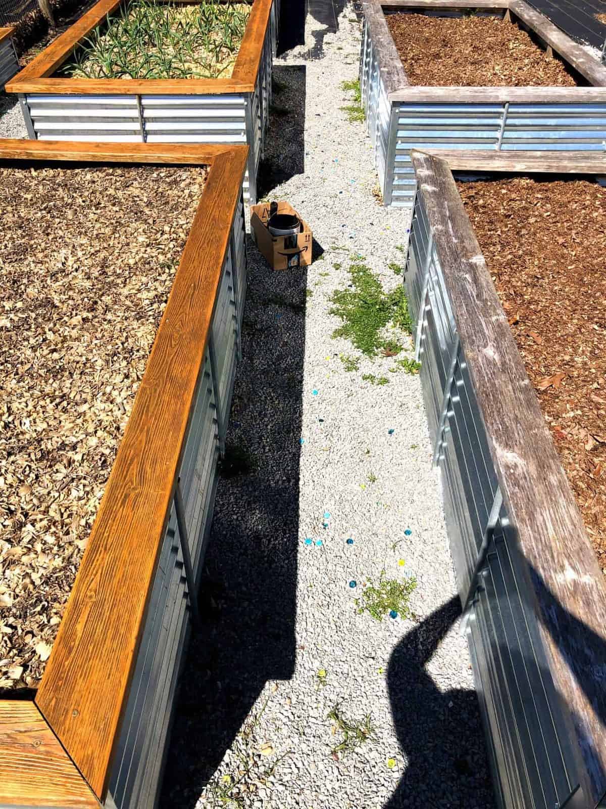 Four steel and cedar raised beds. Two of the beds have had stain applied to the cedar.