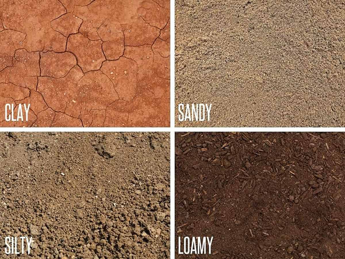 What Characteristics Of Clay Different From Sand at Peter Jones blog