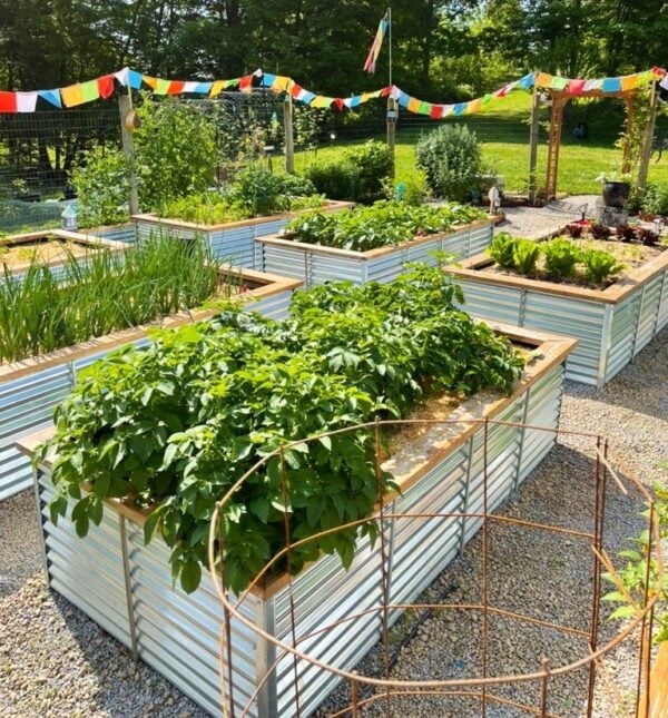 Metal raised beds in a vegetable garden