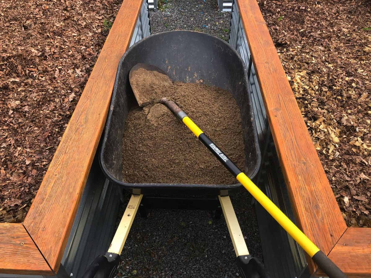 A black wheelbarrow full of dirt with a shovel on top fits between two raised garden beds.