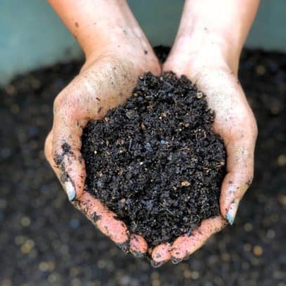 Two cupped hands hold worm castings and compost.