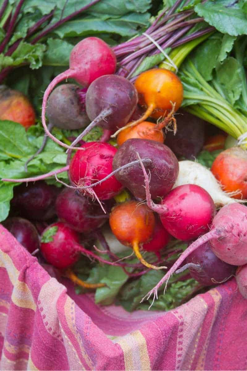 Multicolored beets are piled in a cloth-lined crate