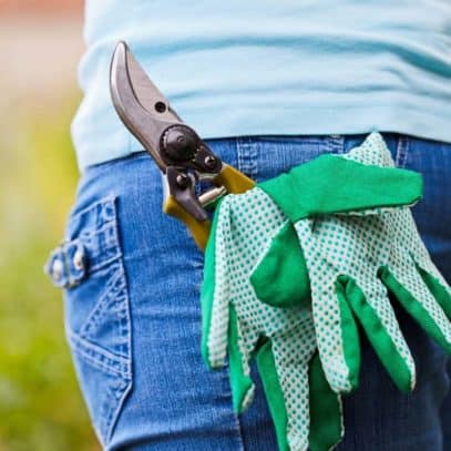 Green garden gloves and a pruner stick out from a back jeans pocket.