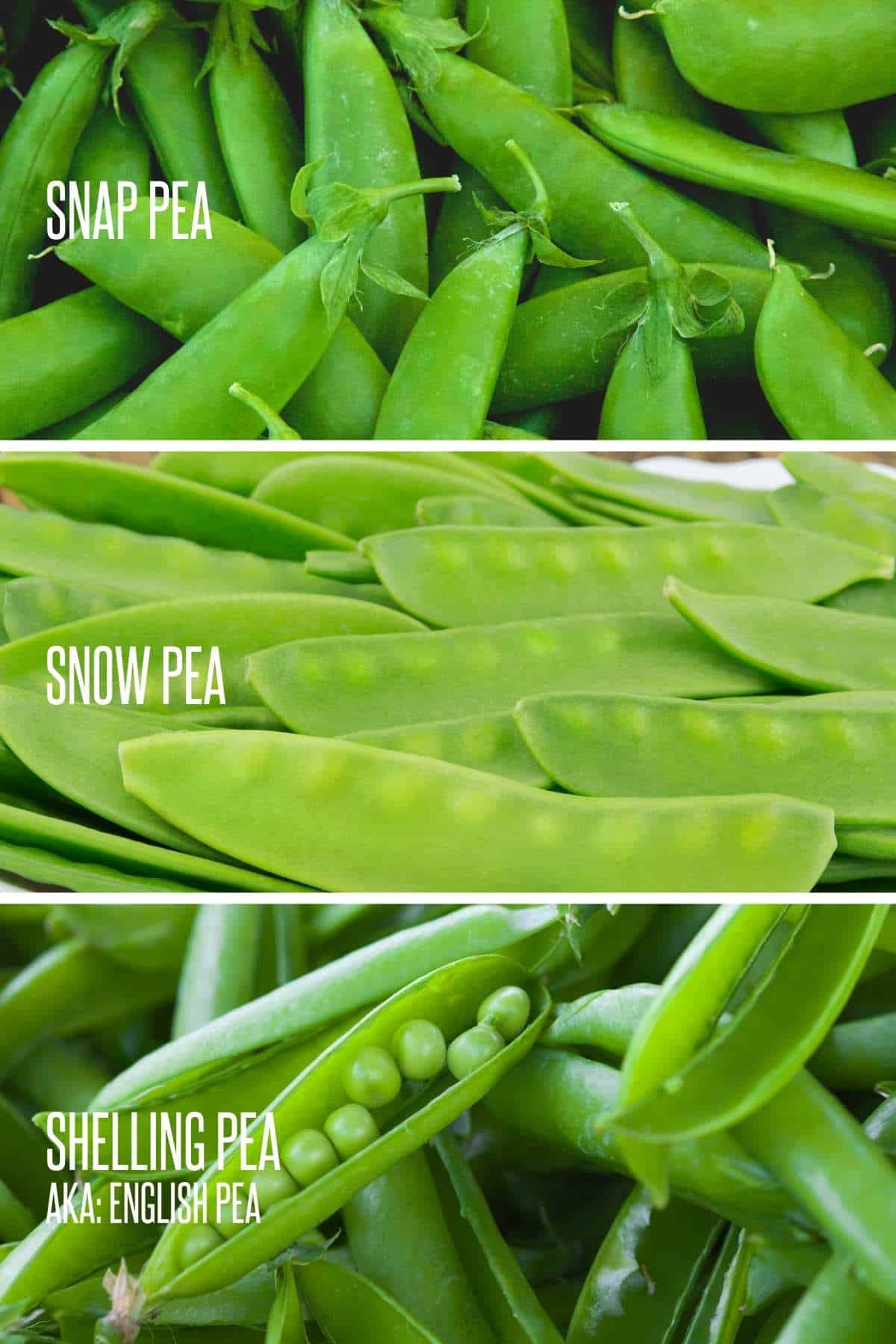 The Types of Peas to Grow in Your Garden - Growfully