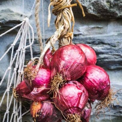 A bundle of red onions are braided together