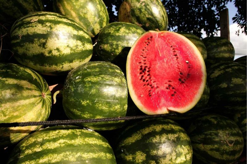 Ripe watermelon are piled on top of each other. One watermelon is cut in half to show its red flesh and black seeds.