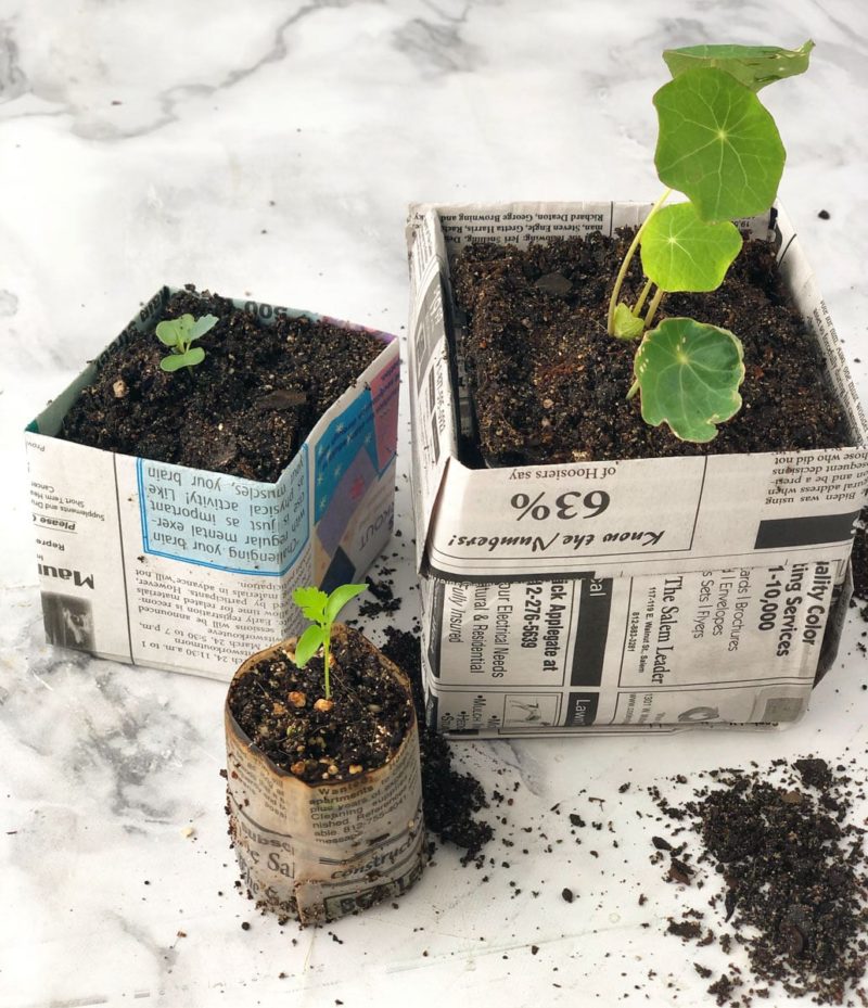 Two square newspaper pots and 1 cylindrical newspaper pot show the size options for seedling pots made of newsprint