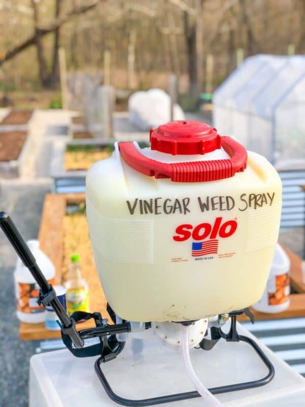 A backpack sprayer labeled "vinegar weed spray" sits outside