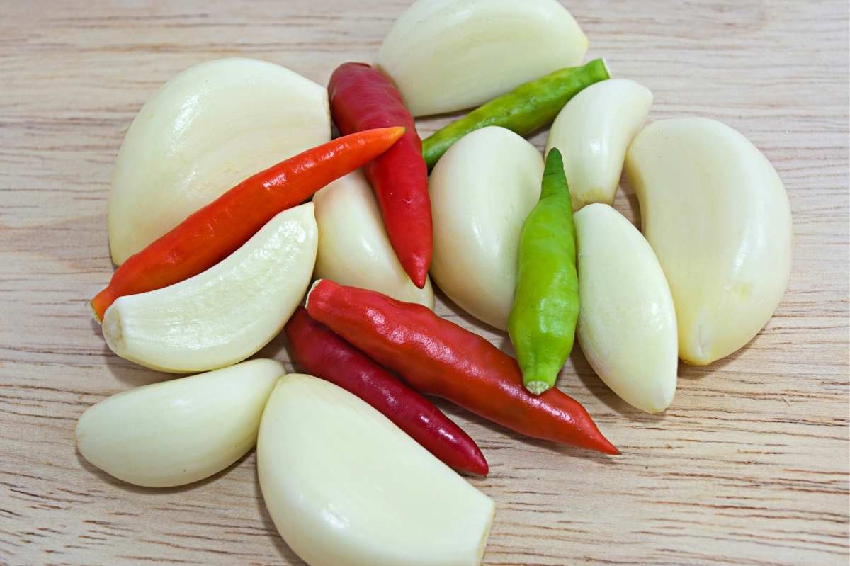 An Effective Natural Bug Repellent for Your Plants Growfully