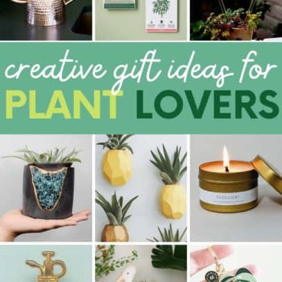 A collage of gifts for plant lovers, with a text overlay that reads "Creative Gift Ideas for Plant Lovers"