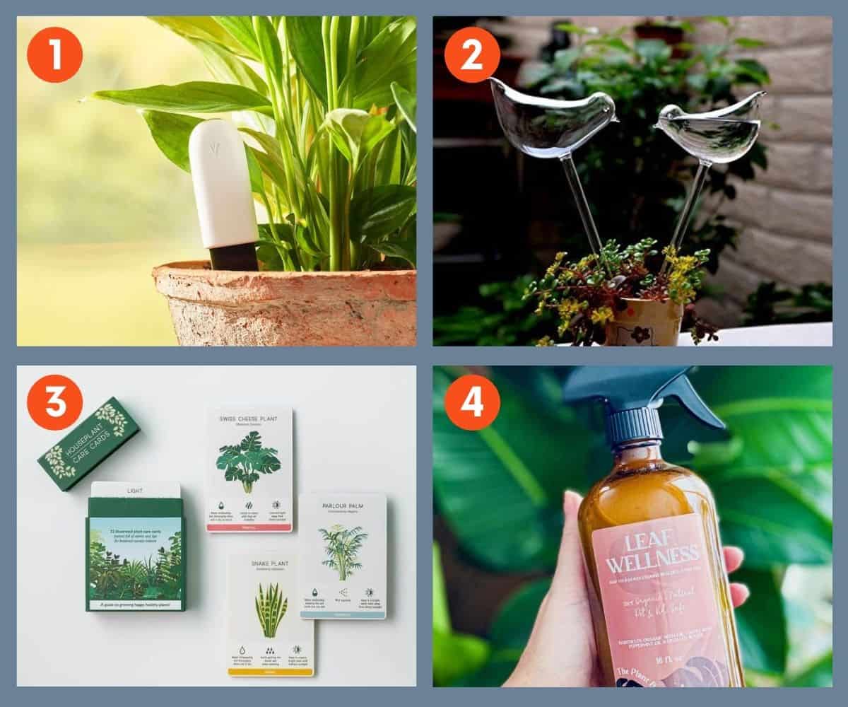 29+ Creative Gifts for Plant Lovers for 2022 - Growfully