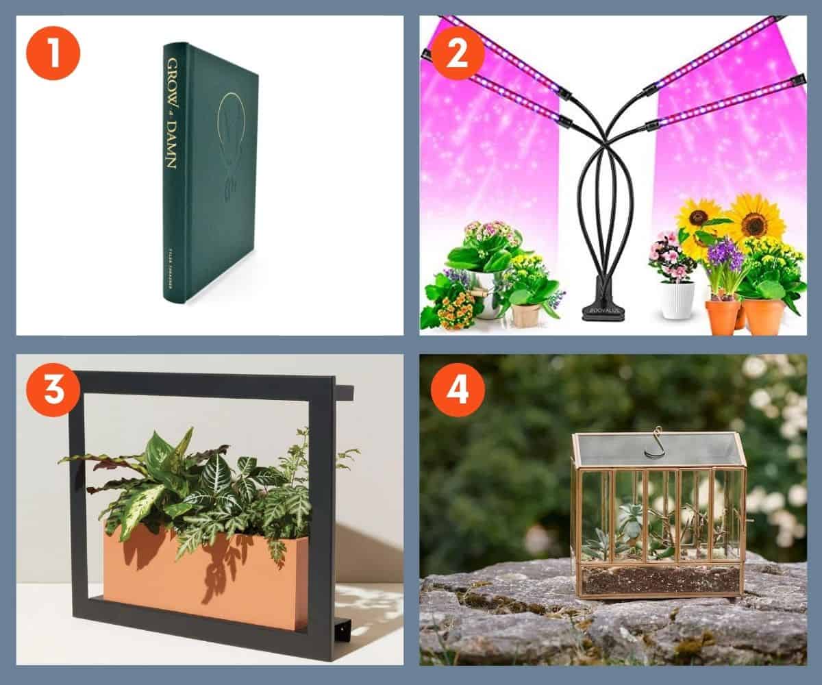 29+ Creative Gifts for Plant Lovers for 2022 - Growfully