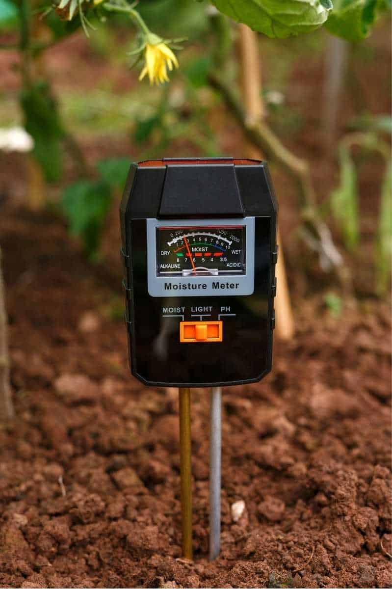 How to Test Your Garden Soil's pH Level in 4 Simple Steps