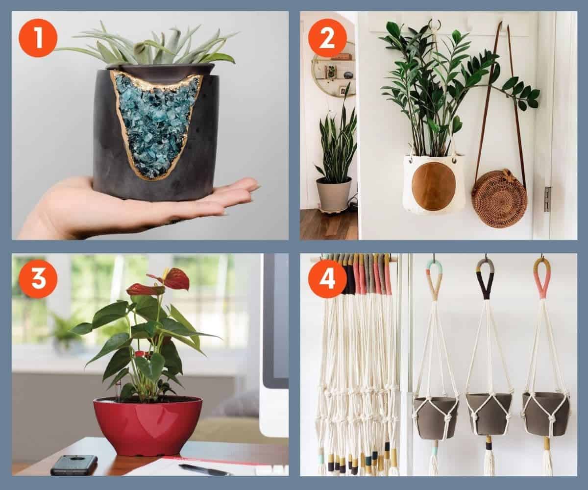 23 Best Gifts for Plant Lovers of 2024 | Reviews by Wirecutter