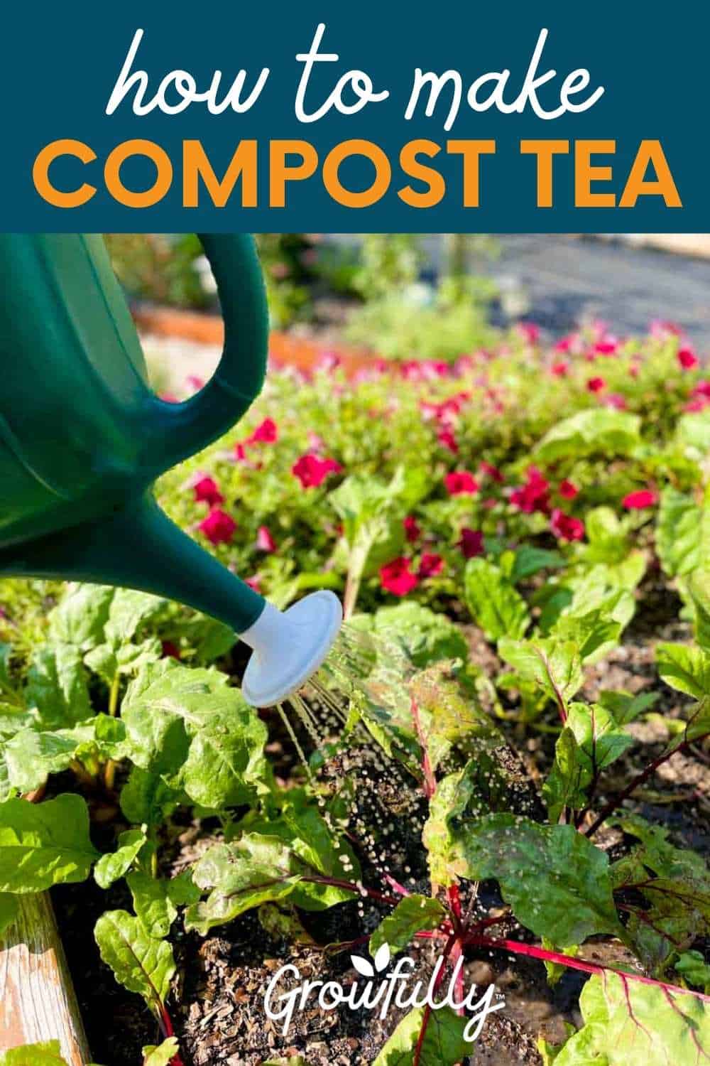 Mua Mighty Plant Instant Compost Tea (1 Pound) trên Amazon Mỹ chính hãng  2023 | Giaonhan247