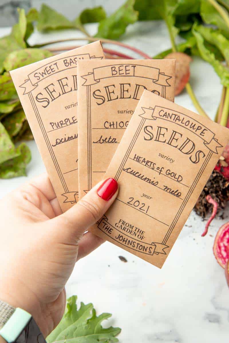 Seed Envelopes