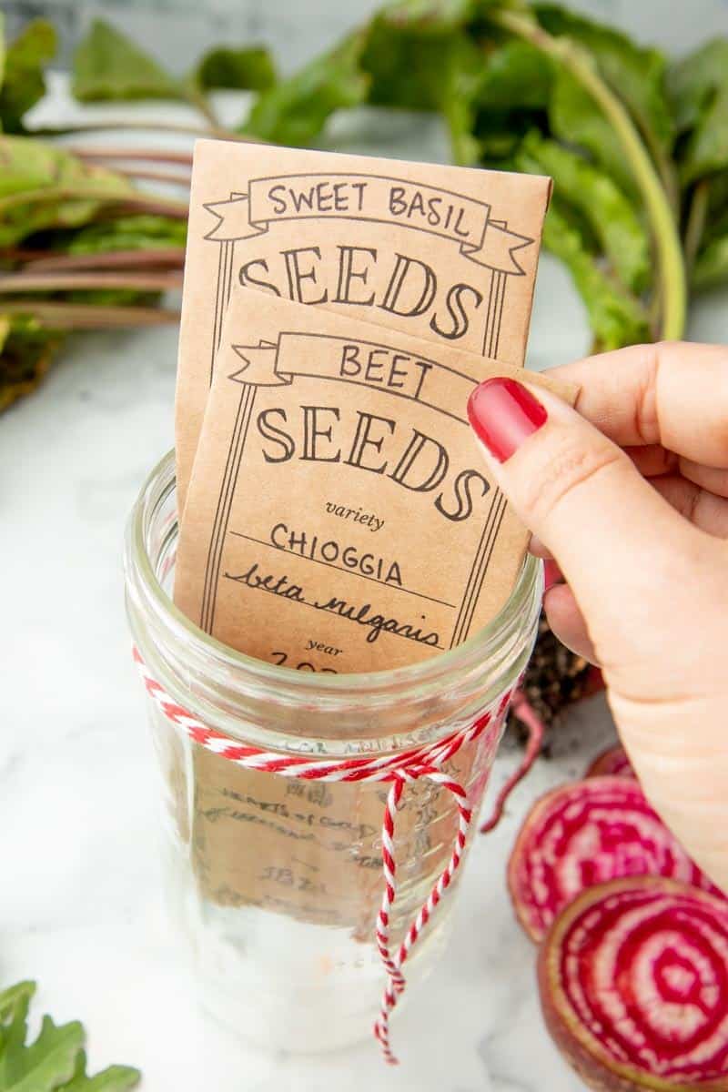 Seed Packet Project for Sharing & Saving Seeds in Beautifully Decorate –  Greenleaf & Blueberry
