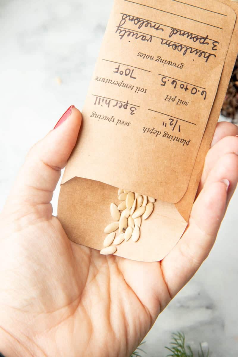 Grow, forage, cook: saving seeds (and free seed envelope template)