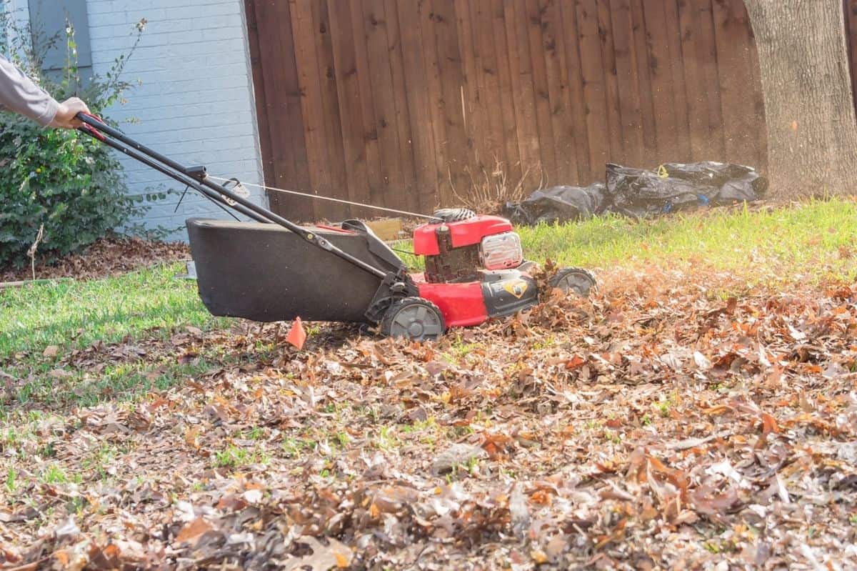 9 Types of Mulch for A Low-Maintenance Organic Garden - Growfully