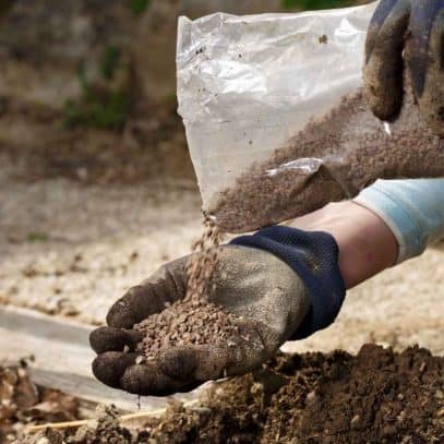 Gloved hands pour a soil amendment from a clear bag into one of the hands