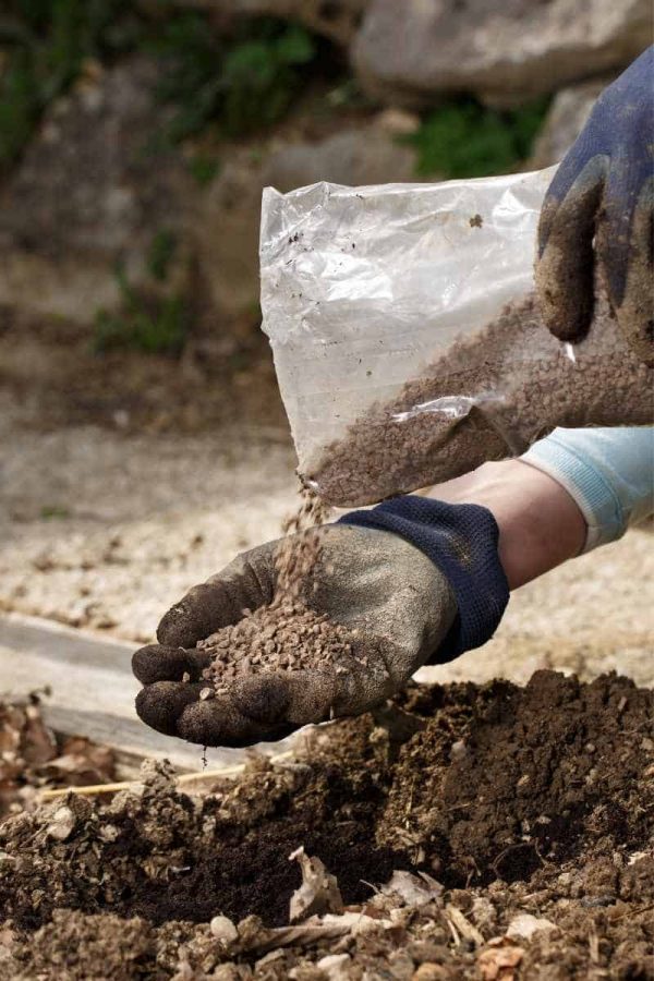 Gloved hands pour a soil amendment from a clear bag into one of the hands