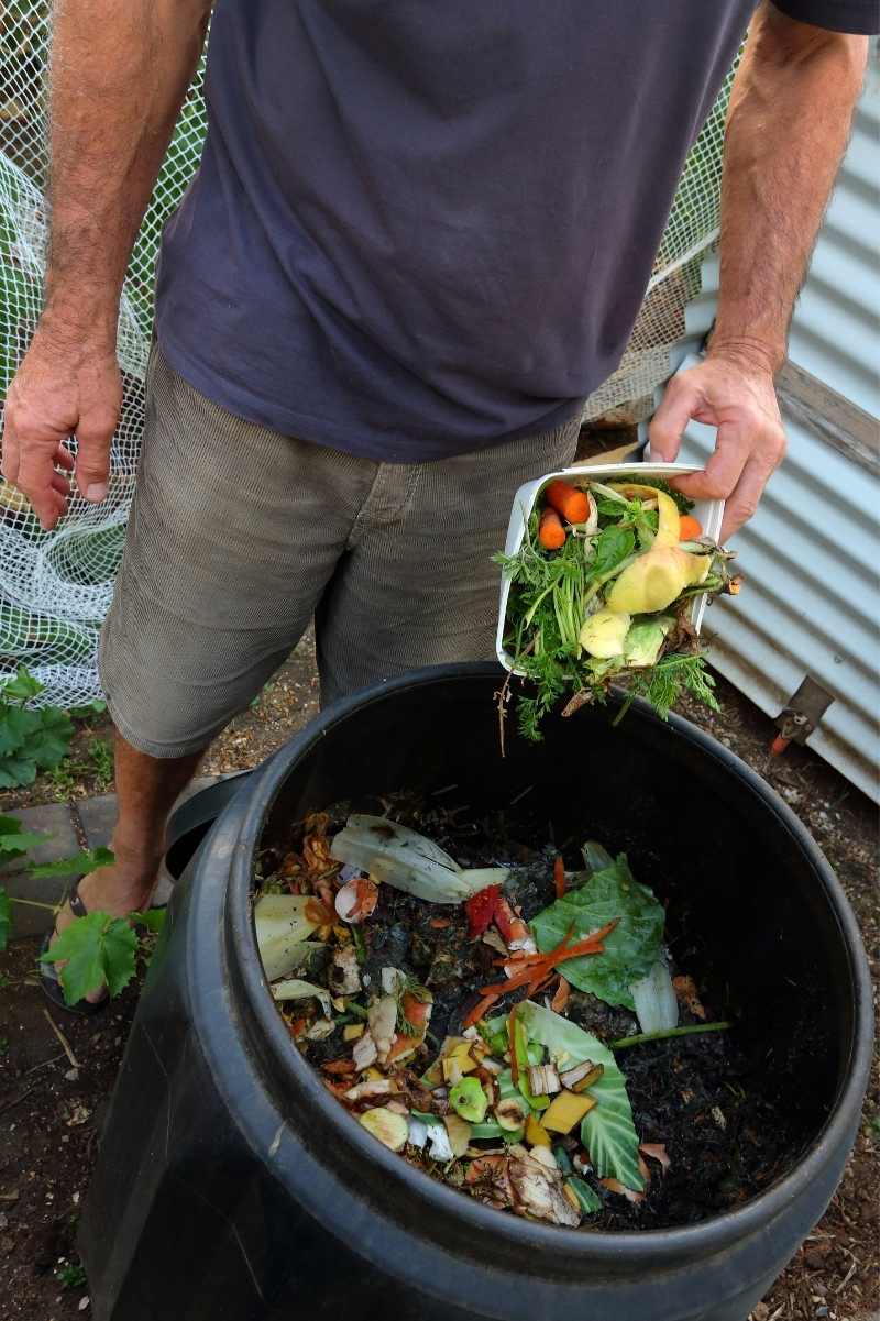 https://growfully.com/wp-content/uploads/2022/05/Add-Compost.jpg