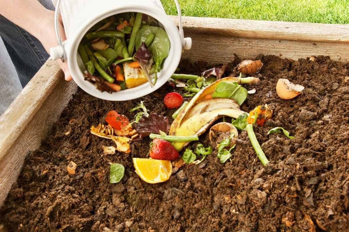 A Beginner's Guide to Composting—Plus, How to DIY a Compost Bin