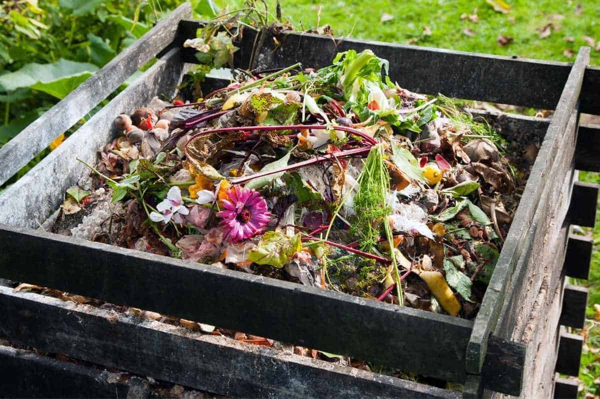 https://growfully.com/wp-content/uploads/2022/05/Compost-Bin.jpg