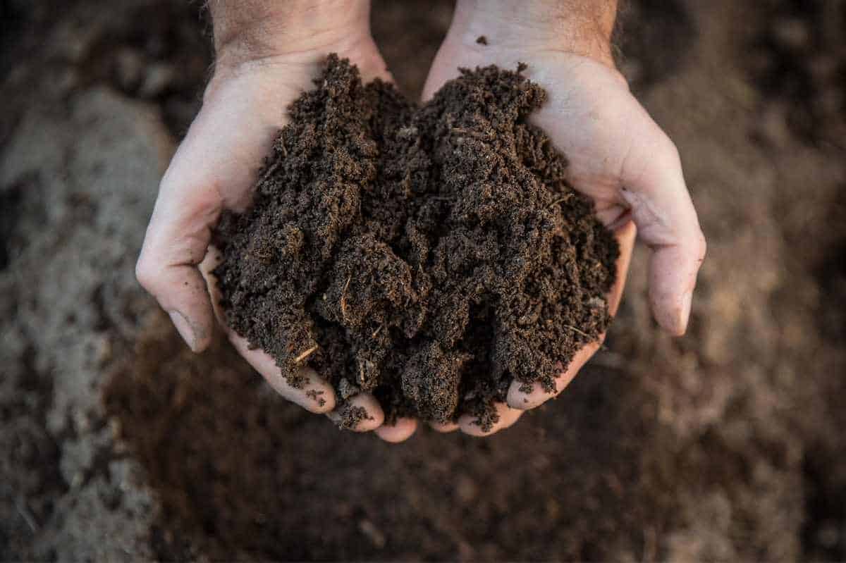 https://growfully.com/wp-content/uploads/2022/05/Holding-Compost.jpg