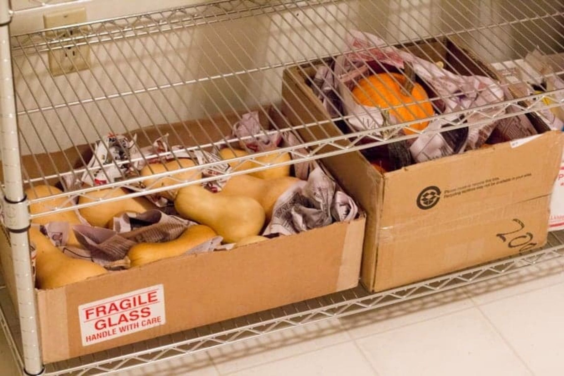 Two cardboard boxes filled with squash and newspaper sit on a wire rack.