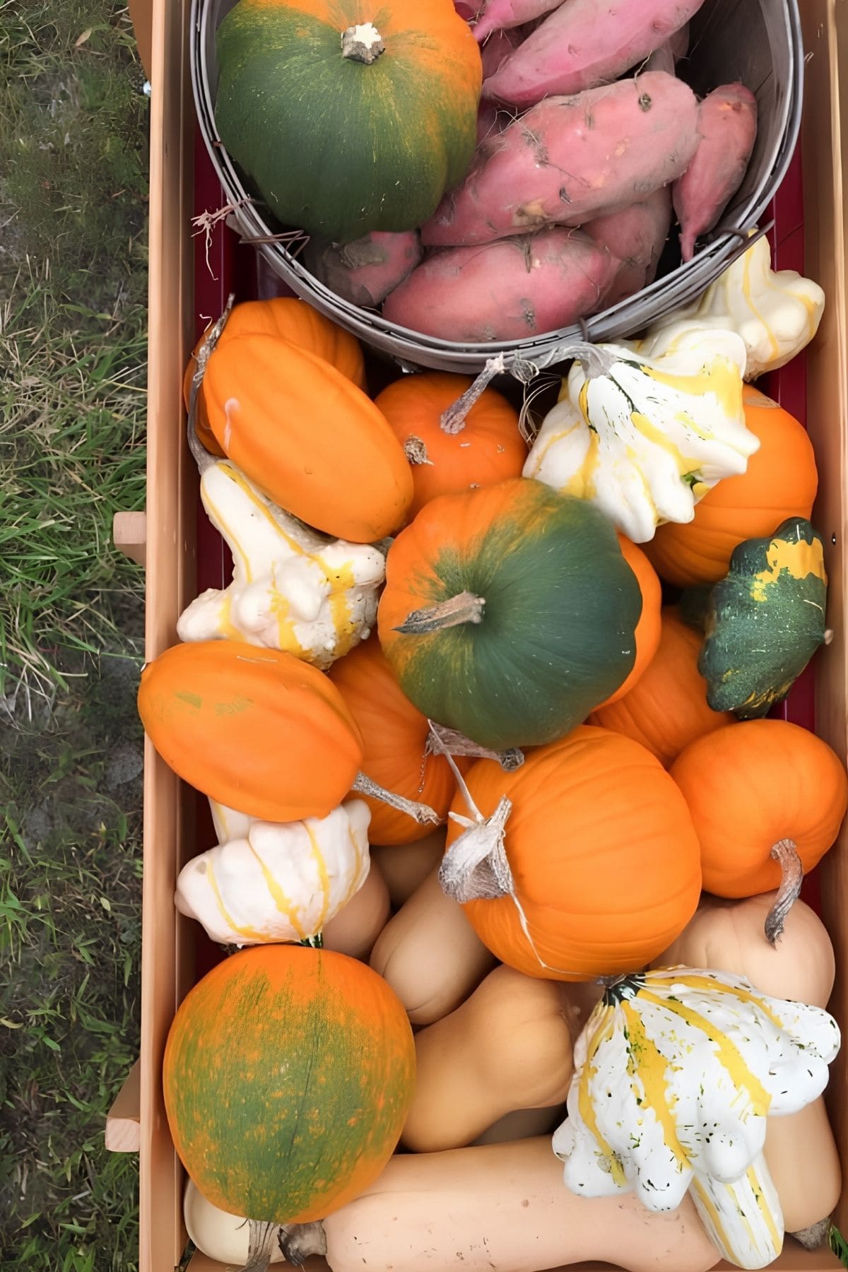 Various pumpkins and squash are piled in a box.
