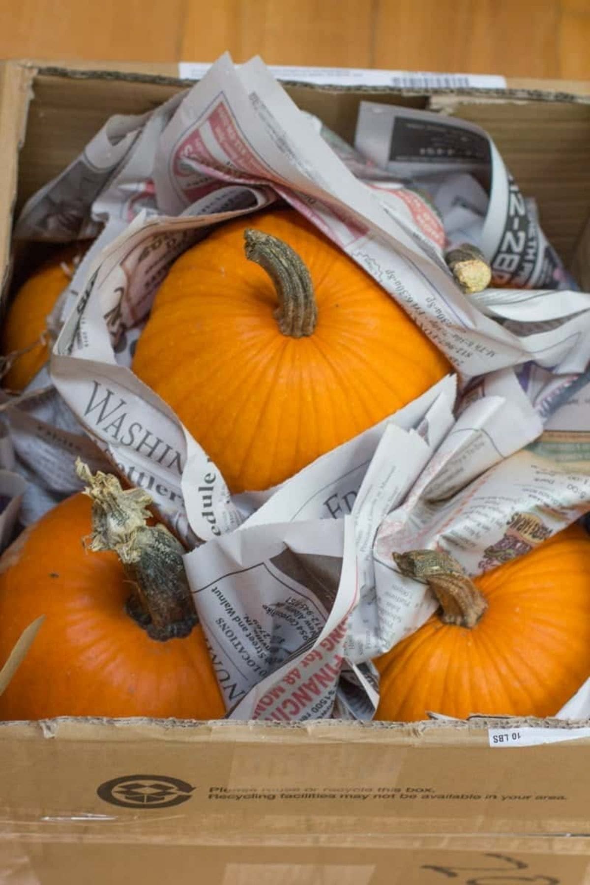 Pumpkins are wrapped in newspaper in a cardboard box.