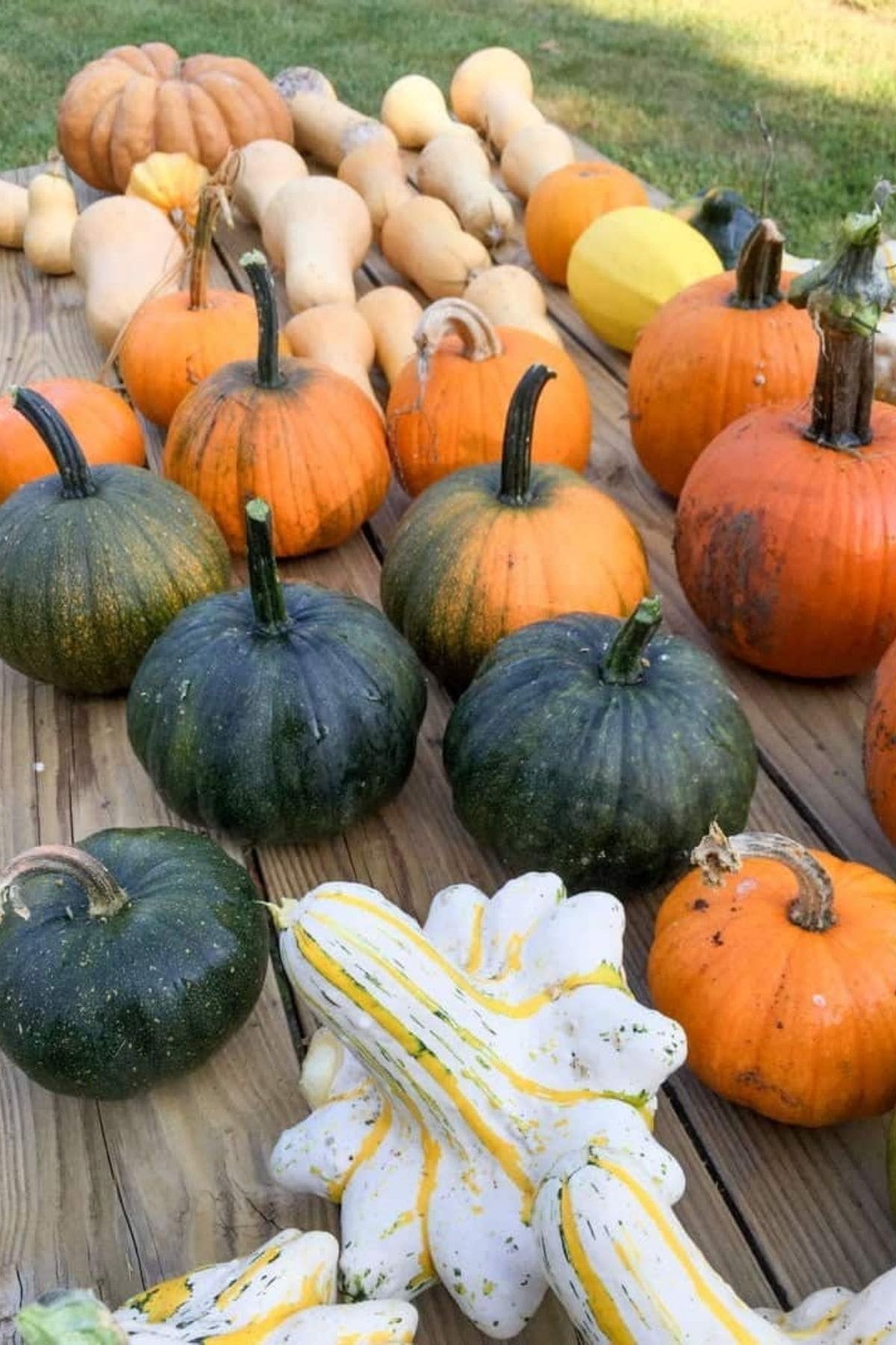 Various pumpkins and squash are arranged on a wooden table.